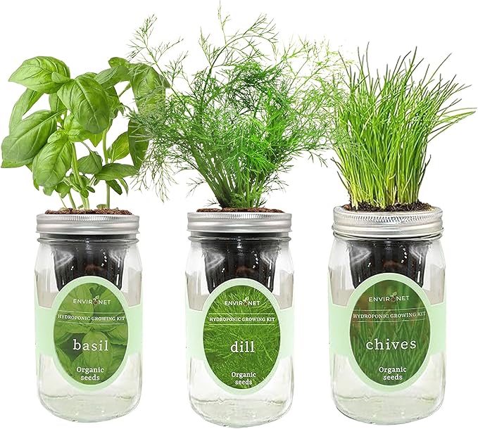 Hydroponic Herb Growing Kit Set, Self-Watering Mason Jar Herb Garden Starter Kit Indoor, Windowsill Herbs Garden, Grow Your Own Herbs from Organic Seeds (Basil, Dill, Chives)