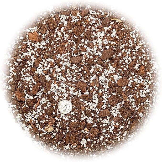 GARDENERA Premium Aloe Vera Potting Soil Mix - 10 Quart - (2 Bags of 5QT)