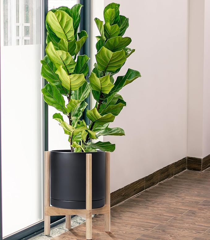 D'vine Dev Ceramic Planter with Natural Stand - 12 Inch Modern Round Flower Pot with Wood Planter Holder, Black, 55-B-J-2