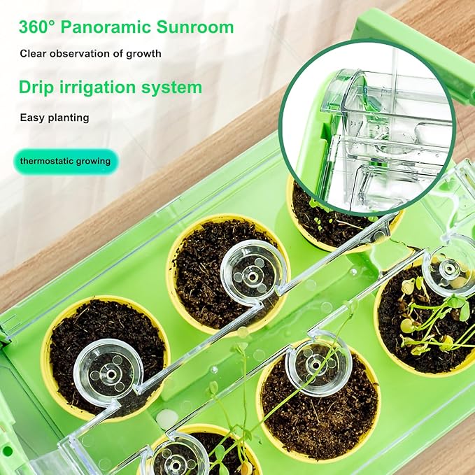 Kids Gardening Greenhouse Growing Kit with Weather Observation Kids Terrarium kit Science Educational DIY Indoor Plant Toy