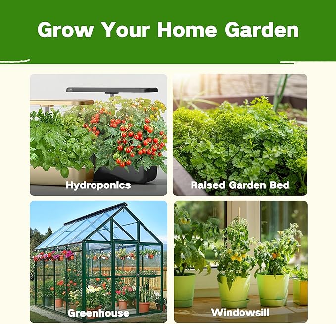 Lush&Dew Companion Plants Heirloom Seed Bank, Gardening Gifts, 32 Varieties 30,000+ Non-GMO Fall Winter Vegetable Seeds for Planting in Garden Beds Greenhouse, Survival Seed Kit Emergency Food Supply