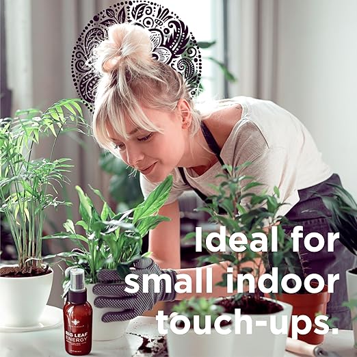 Big Leaf Energy : 4 OZ Trial Size : Ready-to-Use Spray for Plant Wellness : Organic Leaf Shine and Conditioner