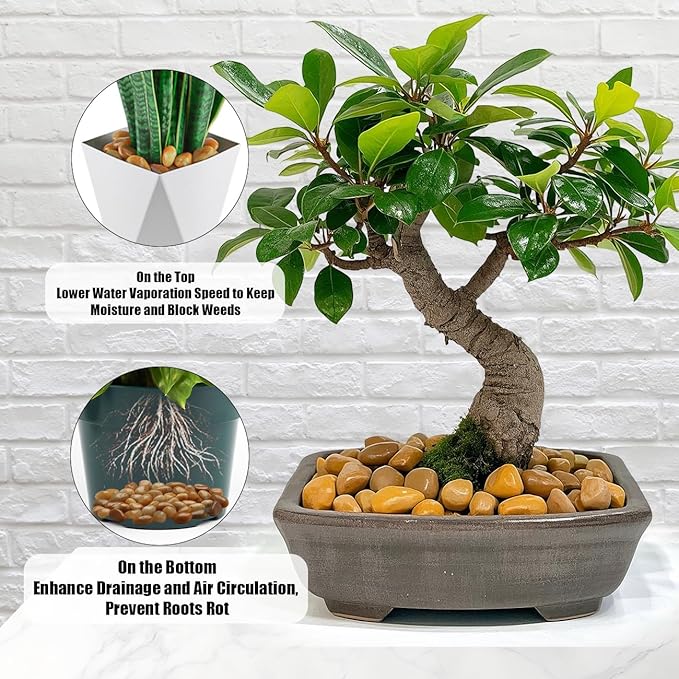 1 Pack 5 Lbs Random Color River Rocks for Plants,0.8-1.5 Inch Decorative Ornamental Pebbels, High Polished Stones for Garden Landscaping, Smooth Gravel Filler, Succulents, Fish Tank, Yellow/White