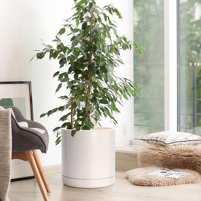 D'vine Dev 10 Inch Ceramic Planter Pot with Drainage Hole and Saucer, Indoor Cylinder Round Planter Pot, Oatmeal, 94-O-E-8