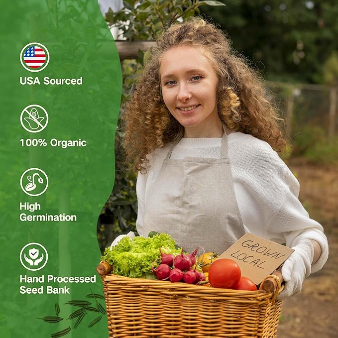 Lush&Dew Raised Garden Beds Heirloom Seed Bank, 32 Varieties 30,000+ Non-GMO Fall Garden Seeds of Vegetables Herbs Fruits, Gardening Gifts for Women Men, Emergency Supplies Survival Seed Kit