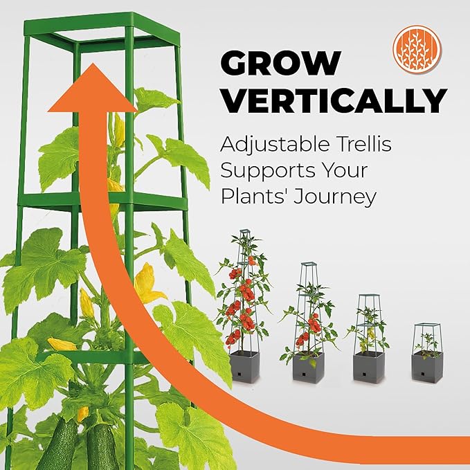 Bio Green 2 Pack Garden Tomato Planter MAXITOM, with Plant Support Trellis 59 inch and Self Watering, 4,2 Gal Planter Box for Climbing Vegetables Plants, Gray