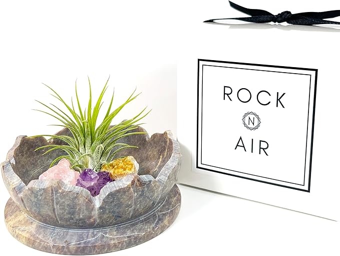 Lotus Carved Stone Bowl with Small Amethyst, Rose Quartz, Citrine Crystals and Air Plant – Mindfulness Decor for Yoga Meditation Enthusiasts, Crystal Collector