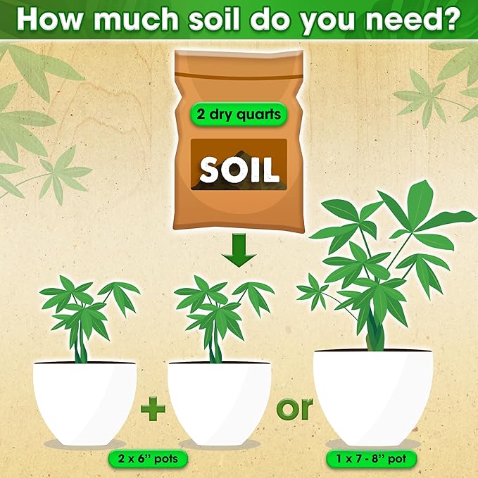 DUSPRO Recycle Money Tree Soil Indoor, Premium Coco Coir Perlite Mix and Pine Bark for Money Tree, Ideal Money Tree Soil for Healthy Growth and Nourishment (4 Quarts)