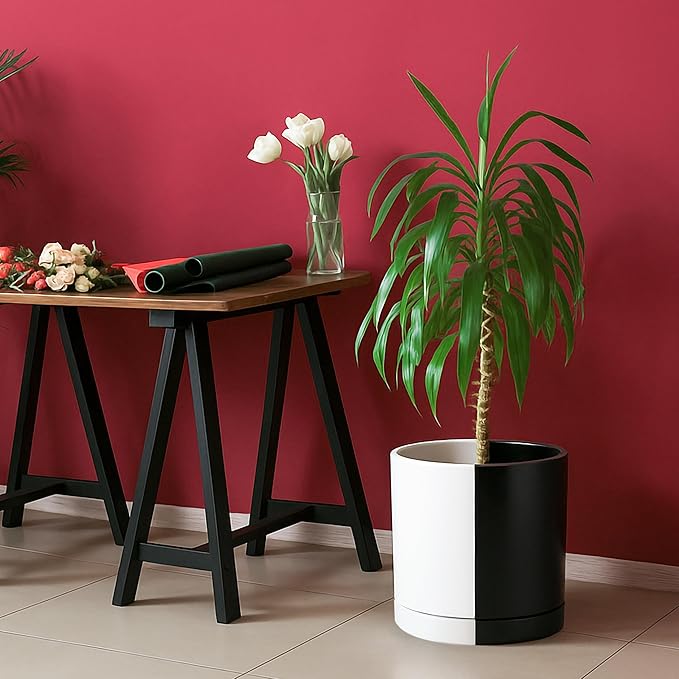 D'vine Dev 10 Inch Ceramic Planter Pot with Drainage Hole and Saucer, Indoor Cylinder Round Planter Pot, Split Monochrome Black & White, 94-O-E-0