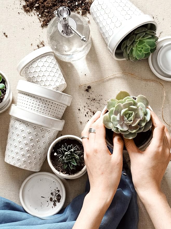 LE TAUCI Ceramic Succulent Pots, 4 Inch Small Plant Pot for Indoor Plant Cactus, Embossed Flower Pots with Drainage Hole & Saucer - Set of 4, Arctic White