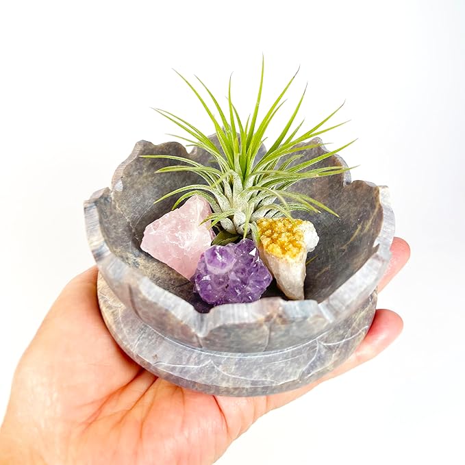 Lotus Carved Stone Bowl with Small Amethyst, Rose Quartz, Citrine Crystals and Air Plant – Mindfulness Decor for Yoga Meditation Enthusiasts, Crystal Collector