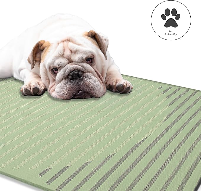 Fab Habitat Striped Outdoor Rug - Waterproof, Fade Resistant, Crease-Free - Premium Recycled Plastic - Porch, Deck, Balcony, Mudroom, Laundry Room, Patio - Kyoto - Green - 3 x 5 ft