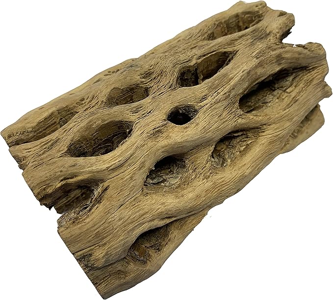 Awesome Aquatic 6 in x 2-3” Thick XL Teddy Bear/Chain Fruit/Buckhorn/Staghorn Cholla Wood Hollow Tube Wood Cactus Skeleton Tubes Thick/Diameter (6 in x 2-3 in Diameter)