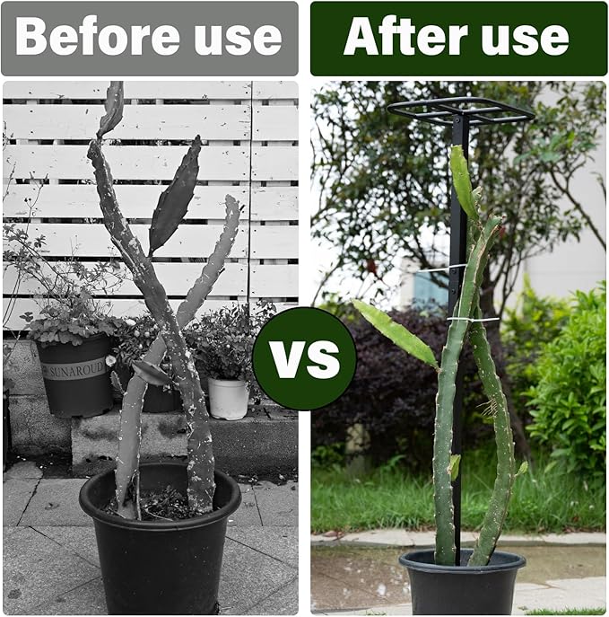 63" Metal Dragon Fruit Trellis – Durable Outdoor Garden Support for Climbing Plants, Easy Assembly Vertical Structure, Ideal for Dragon Fruit Growers