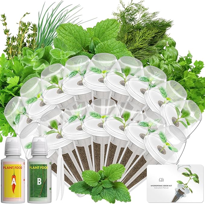 Gourmet Herb Seed Pod Kit Compatible with AeroGarden, idoo, Ahopegarden, Gardencube with Basil, Parsley, Thyme, Mint, Cilantro, Dill, Oregano, Chives - Compatible with All Hydroponics(16-Pod)