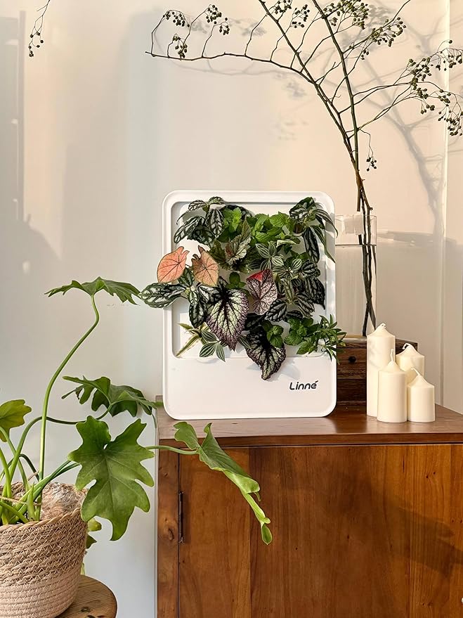 Indoor Garden Hydroponic System with LED Grow Light Indoor herb Garden, Indoor Garden Hydroponic System with LED Grow Light (White)