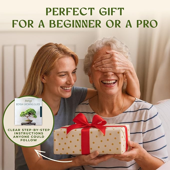 AVERGO Bonsai Tree Kit for Beginners – 5X Unique Japanese Bonzai Trees | Complete Indoor Starter Kit for Growing Bonsai Plants with Tools & Planters – Gardening Gifts for Women & Men