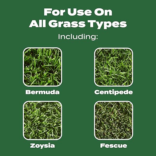 Scotts Turf Builder Lawn Food, Fertilizer for All Grass Types, 5,000 sq. ft., 12.5 lbs. (2-Pack)