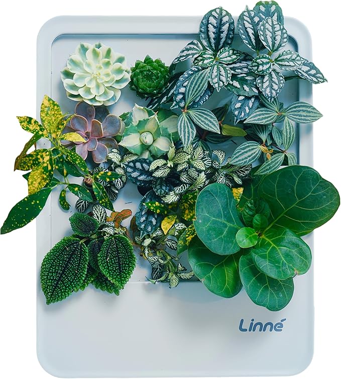 Indoor Garden Hydroponic System with LED Grow Light Indoor herb Garden, Indoor Garden Hydroponic System with LED Grow Light (White)