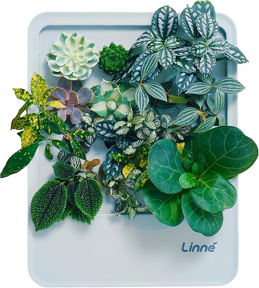 Indoor Garden Hydroponic System with LED Grow Light Indoor herb Garden, Indoor Garden Hydroponic System with LED Grow Light (White)