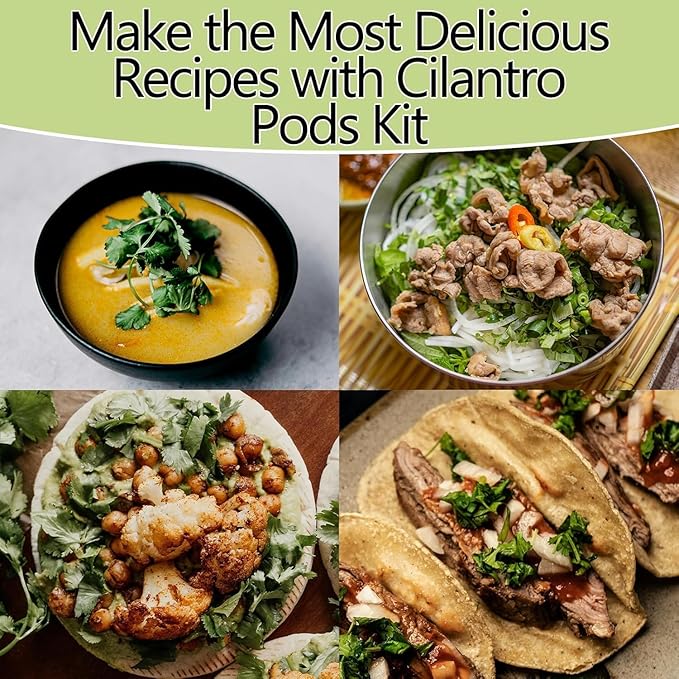 Cilantro Seed Pods for All Hydroponics Growing Systems, 12 Pods Herb Kit with 200+ Seeds of Cilantro, Grow Your Own Herb Garden at Home