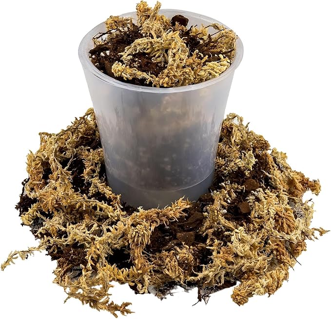 Gardenera Premium Orchid Mix by GARDENERA - 20 Quart - Fern + New Zealand Pine Bark + Sphagnum Moss + Perlite | Best for Growing and Repotting Orchids (4 Bags of 5 QT)