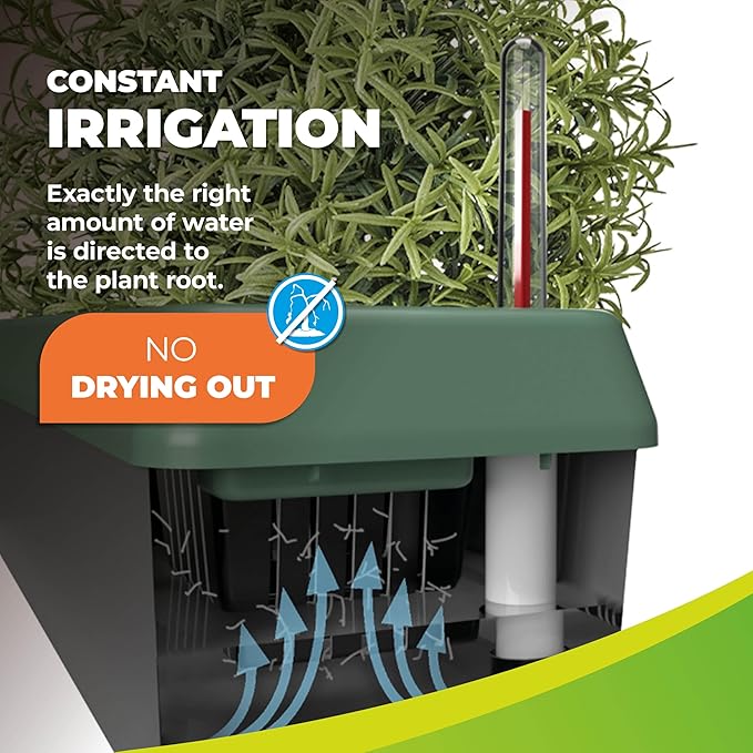 Bio Green Provence Self Watering Planters – 4-Herb Window Boxes Planters with Water Level Indicator – Windowsill Planter – Modern Pot Design – Practical and Easy to Use, Grey, Dark Green (PRO-4)