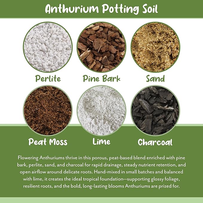 Anthurium Plant Potting Soil Mix (8 Quarts), Indoor Houseplant Custom Blend for Flowering Anthuriums