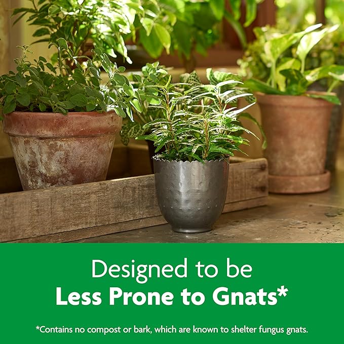 Miracle-Gro Indoor Potting Mix, Blended for a Variety of Houseplants, Feeds for up to 6 Months, 6 qt., 2-Pack