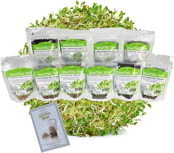 Organic Sprouting Seed Mix – 2.5 lb – 10 Varieties: Alfalfa, Mung Bean, Broccoli, Lentil, Clover, Buckwheat, Radish, Bean Salad, More
