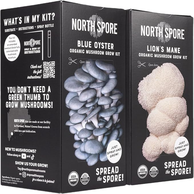 (2-Pack) North Spore Organic Blue Oyster & Lion's Mane Mushroom Spray & Grow Kits (4 lbs each) | USDA-Certified Organic, Non-GMO, Beginner-Friendly & Easy to Use | Handmade in Maine, USA