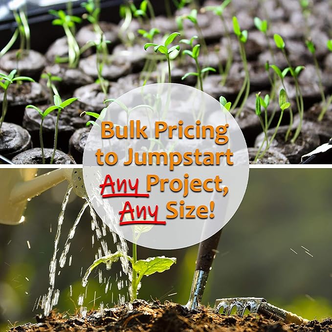 Victoria Series Salvia Blue 4 Oz ~116,288 Seeds – Mealycup Sage (Salvia farinacea) – 98–112 Days – Lavender & White Blooms – Heat Tolerant Annual – Upright Garden Accent – Non-GMO Heirloom