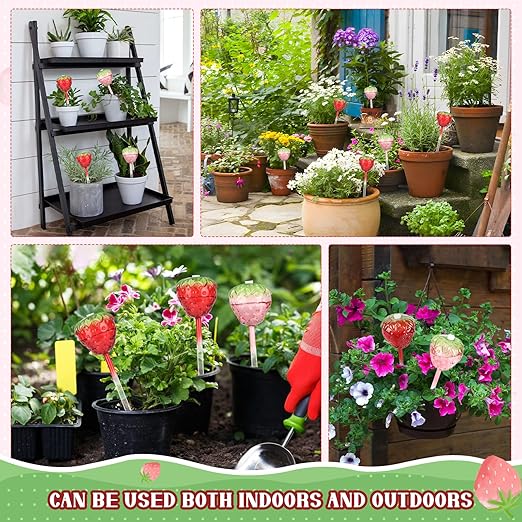 4 Pcs Self Watering Planter Insert, Strawberry Plant Watering Globes with Top-Fill Watering Bulbs, Indoor and Outdoor Potted Plant Watering Device, Suitable for Plant Care During Vacation