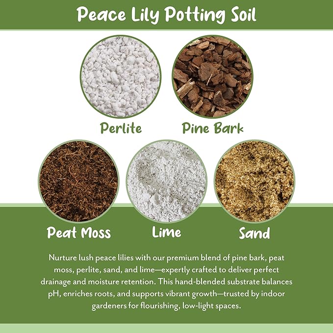 Peace Lily Potting Soil Mix (12 Quarts), for Planting, Growing, or Repotting Peace Lily Plants