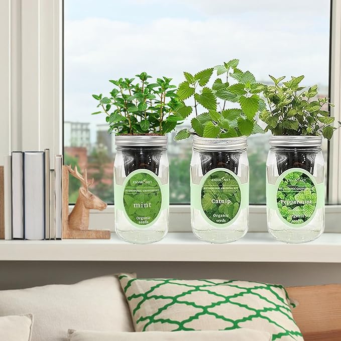 Hydroponic Herb Growing Kit Set, Self-Watering Mason Jar Herb Garden Starter Kit Indoor, Grow Your Own Herbs from Seeds (Mint, Peppermint & Catnip)