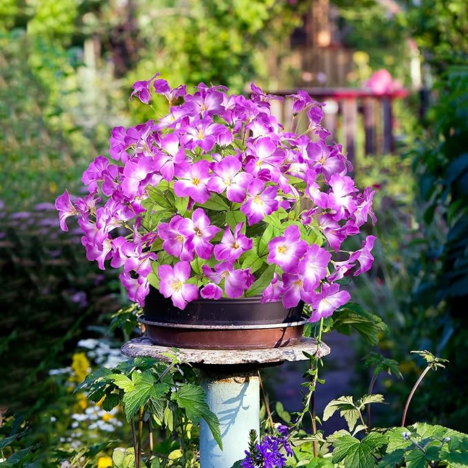 Fake Plants 15.7" Plastic Flowers for Outdoors Artificial Azalea Flowers Fake Flowers Artificial Plants Outdoor Spring Flowers Artificial for Decoration Fake Plants for Outside (Purple 4Pcs