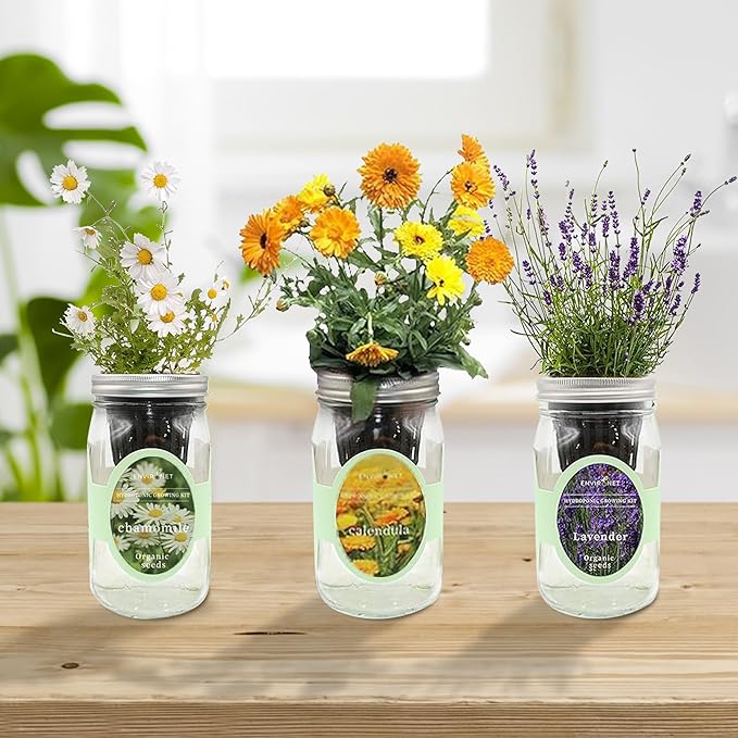 Hydroponic Herb Growing Kit Set, Self-Watering Mason Jar Herb Garden Starter Kit Indoor, Grow Your Own Herbs from Seeds (Calendula, Chamomile & Lavender)
