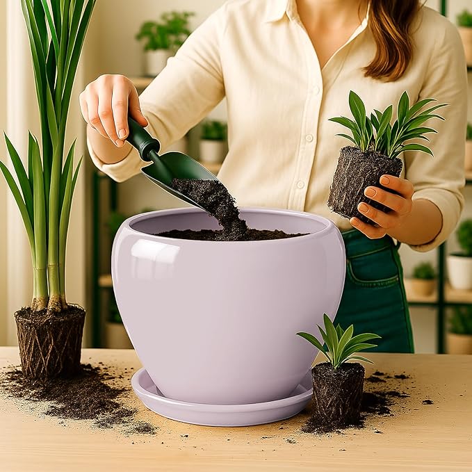 Deep Dream 10 Inch Plant Pot- Ceramic Planter Pot Round Plant Pots for Indoor Plants Outdoor Large Flower Pot with Drainage Holes & Trays, Pink