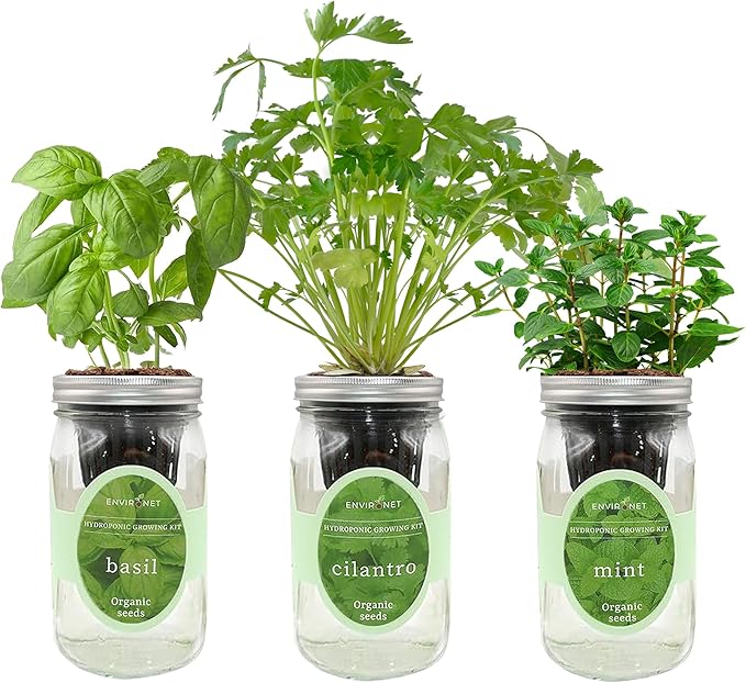 Hydroponic Herb Growing Kit Set, Self-Watering Mason Jar Herb Garden Starter Kit Indoor, Window Herbs Garden, Grow Your Own Herbs from Organic Seeds (Basil, Cilantro and Mint)