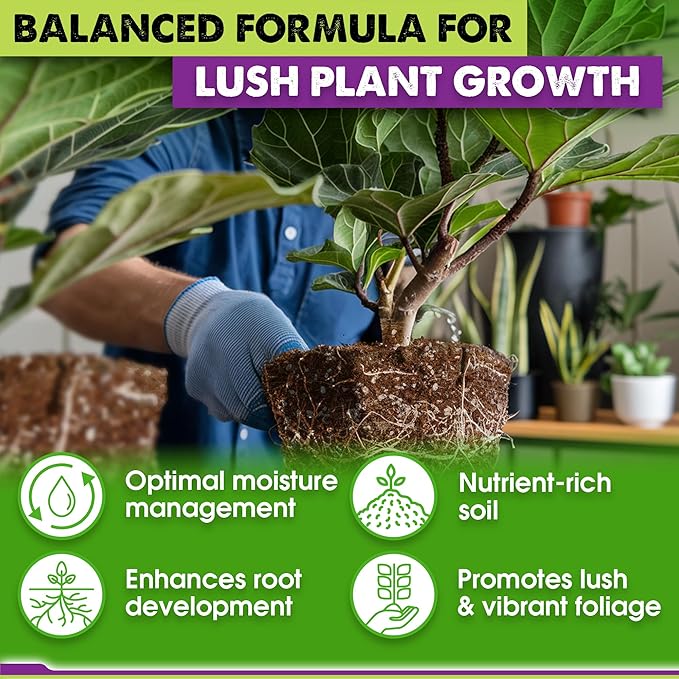 DUSPRO Recycle Fiddle Leaf Fig Soil Specialized for Fiddle Leaf Fig Plant Indoor 5-in-1 Pre-Mixed with Coco Coir, Coconut Fiber, Perlite, Pumice, Pine Bark Ready-to-Use Handmade Mix Drainage 6 QRT