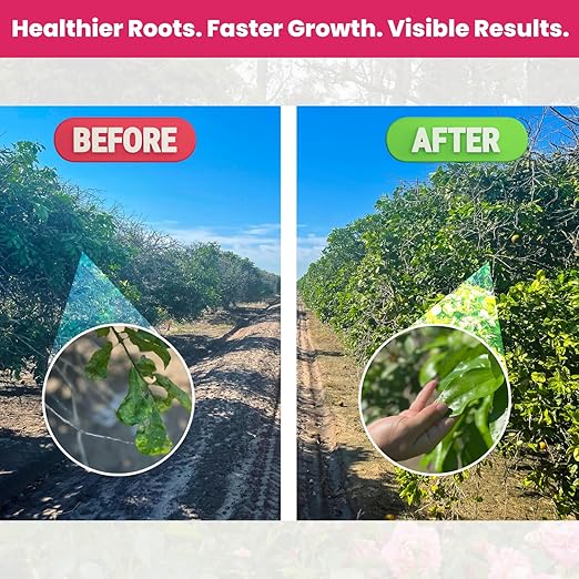 Concentrated Liquid Enzyme-Based Organic Plant Food | Organic Plant Fertilizer & Bloom Booster | Ideal for Flowers, Fruits & Vegetables, Indoor & Outdoor Gardening (8.45oz)