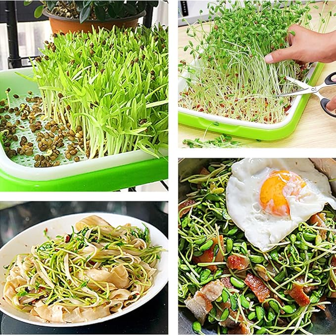 4 Layers Sprout Trays with Extra Strength Plastic Shelf Soil-Free Healthy Wheatgrass Seeds Grower & Storage Trays for Garden Home Office
