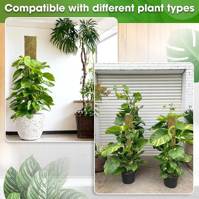 DUSPRO 59’’ Flat Mesh Moss Poles for Climbing Plants Monstera Flat Stacks for Tall Plant with Real Moss Moss Pole for Indoor Plants Plant Stick Support Tall Indoor Plants Support Stakes (1pc., 59'')