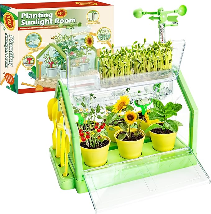 Kids Gardening Greenhouse Growing Kit with Weather Observation Kids Terrarium kit Science Educational DIY Indoor Plant Toy