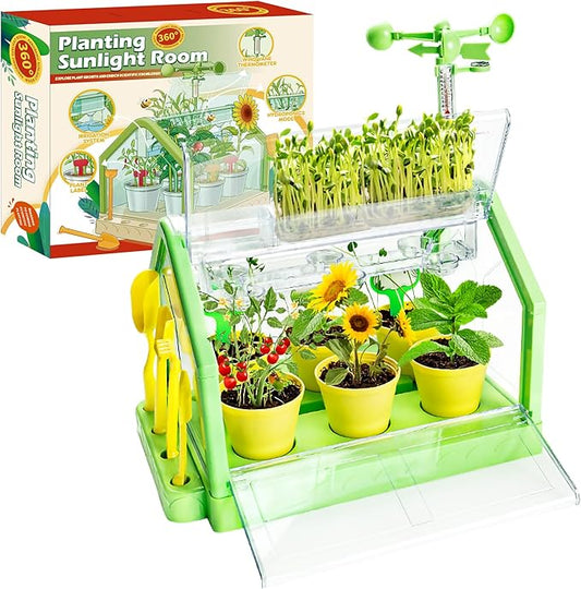 Kids Gardening Greenhouse Growing Kit with Weather Observation Kids Terrarium kit Science Educational DIY Indoor Plant Toy
