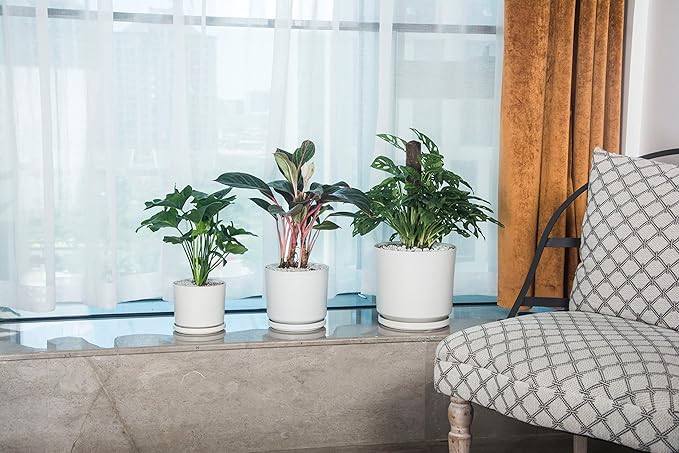 Ekirlin 9 inch Plant Pots,Ceramic Flower Planters Indoor,Modern Succulents Containers with Drain Hole Saucer,Decorate Home,Office & Outdoor (White)