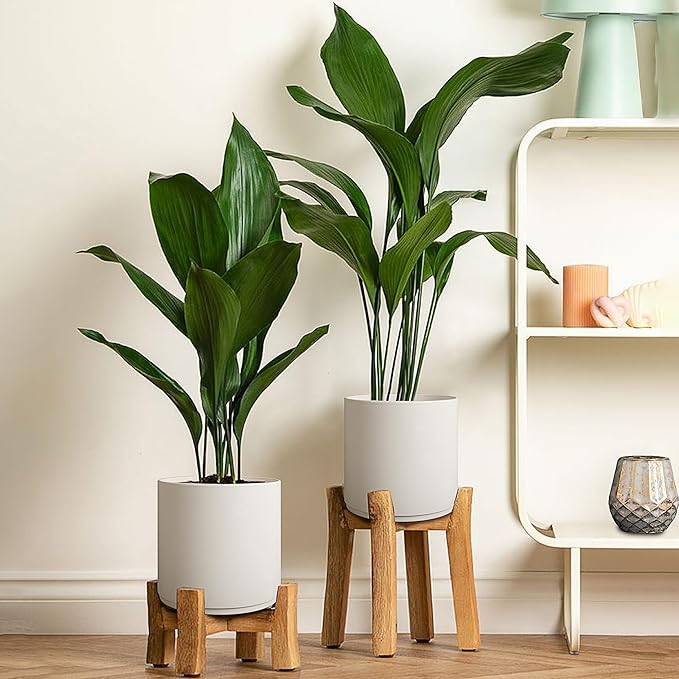 Giraffe Creation 10-Inch Round Cylinder Plant Pot, Modern Indoor/Outdoor Planter with Drainage Hole, Saucer & Water Reservoir, White