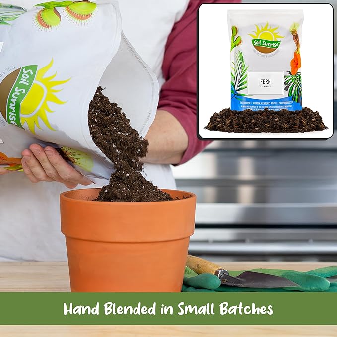Fern Plant Potting Soil Mix (2 Quarts), Custom Hand Blended Mixture for Indoor/Outdoor Container Gardening
