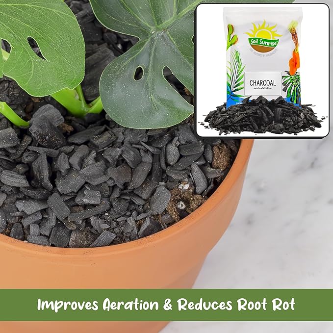 Horticultural Charcoal for Indoor Plants (12 Quarts), Hardwood Soil Additive for Orchids, Terrariums, and Gardening