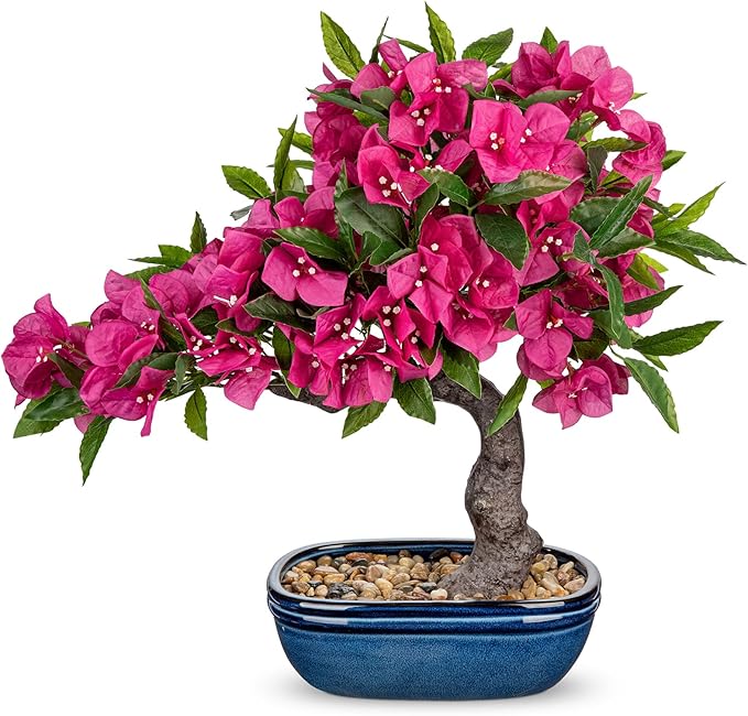 Briful Artificial Bougainvillea Bonsai Tree 18.5" Silk Bougainvillea Plant with Blue Pot Fake Bougainvillea Floral Tree for Home Office Room Desk Shelf Zen Décor(Hot Pink)